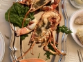 2018_Food-4