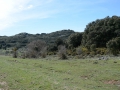 Andalusien15--163