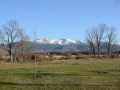 Andalusien15--173