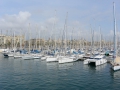 Andalusien15--26