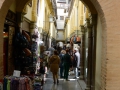 Andalusien15--67