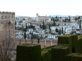Andalusien15--78