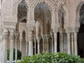 Andalusien15--95