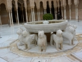 Andalusien15--96